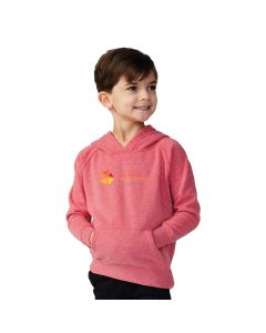 Independent Trading Co. - Toddler Special Blend Raglan Hooded Sweatshirt